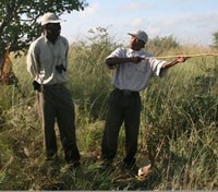 Walking Safari